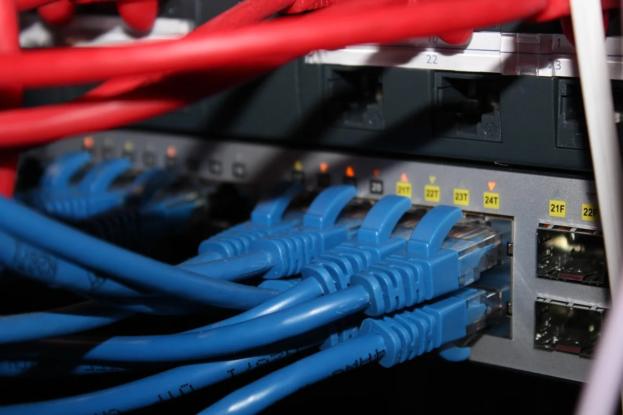 Cableado de red rojo y azul conectado a los puertos de un panel de parcheo